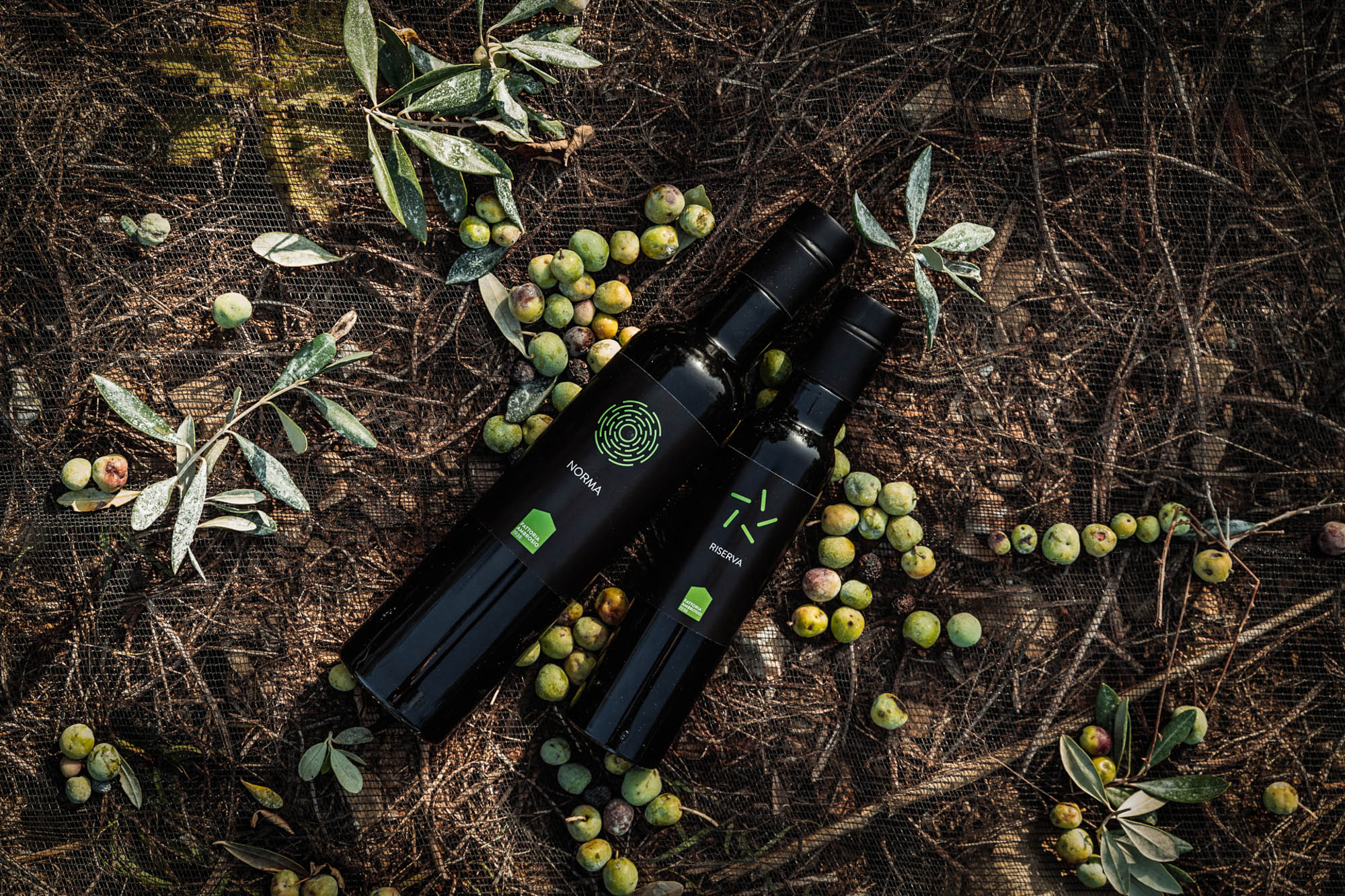 OLIO EVO DI ALTA QUALITÀ